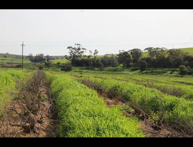 235HA FARM FOR SALE IN MALMESBURY RURAL